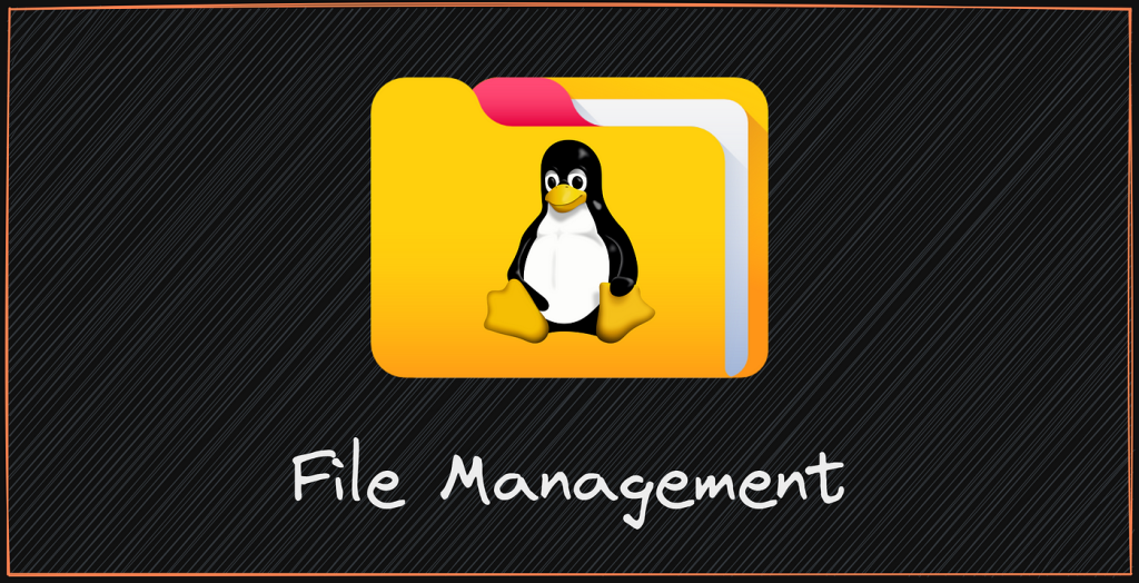 File and Directory
