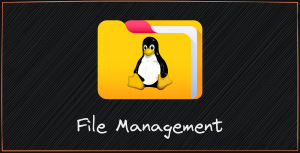 File and Directory